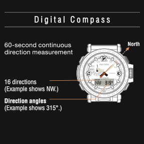 casio prg 600 review